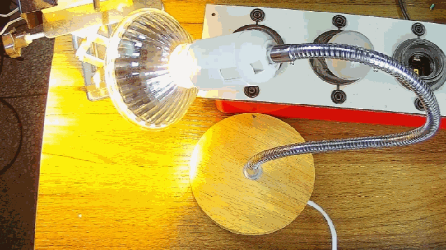 電燈泡內通有交流電，為什么看不到燈泡在閃爍？